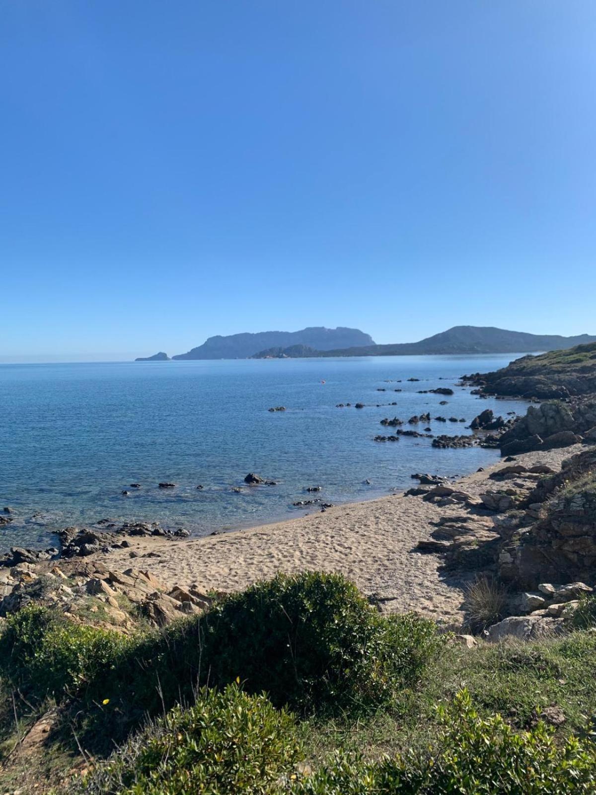 Stella Marina Daire Olbia Dış mekan fotoğraf